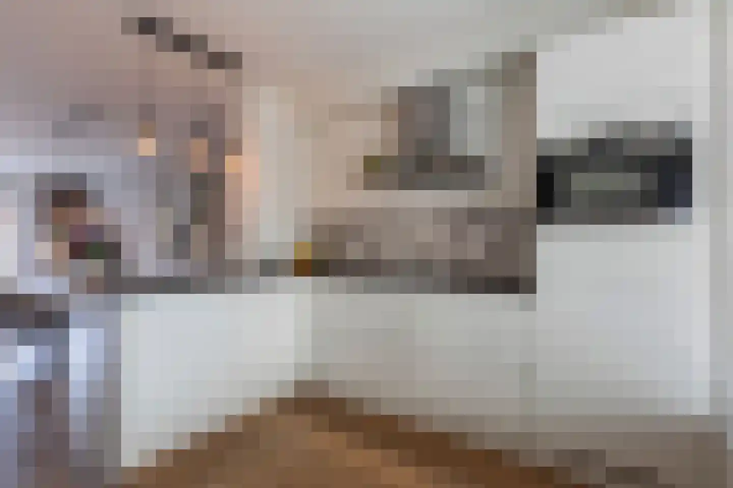 Diabellistraat 15 Eindhoven thumbnail 4