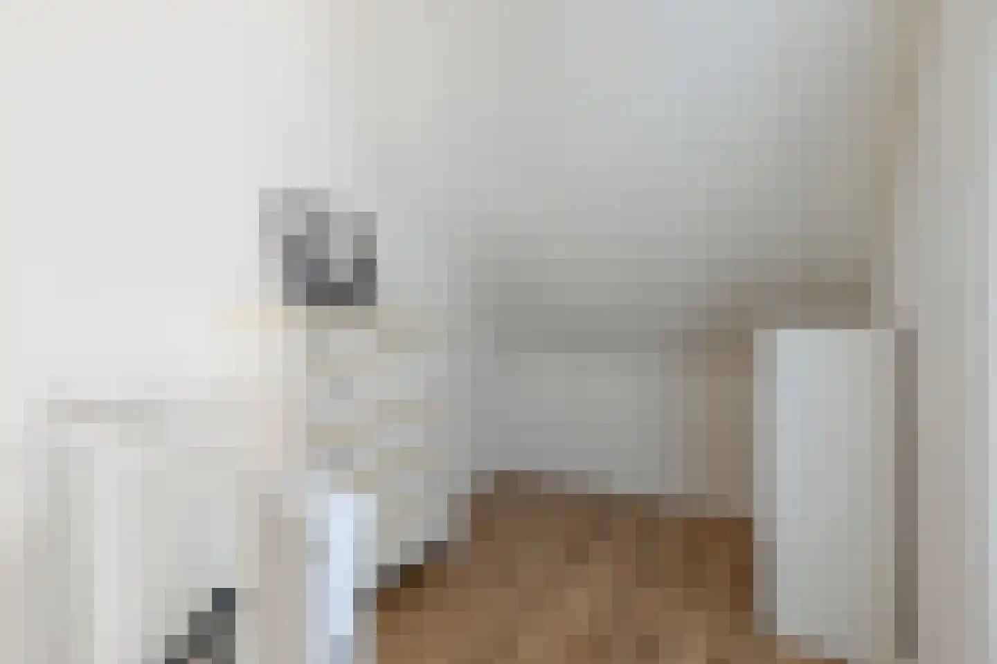 Diabellistraat 15 Eindhoven thumbnail 44