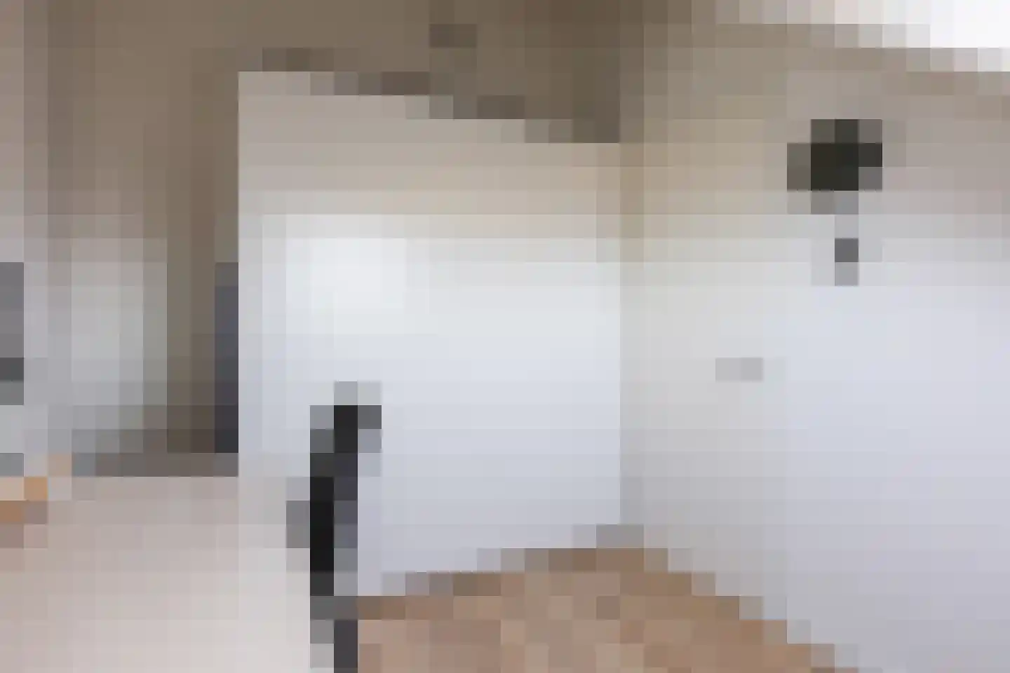 Diabellistraat 15 Eindhoven thumbnail 49