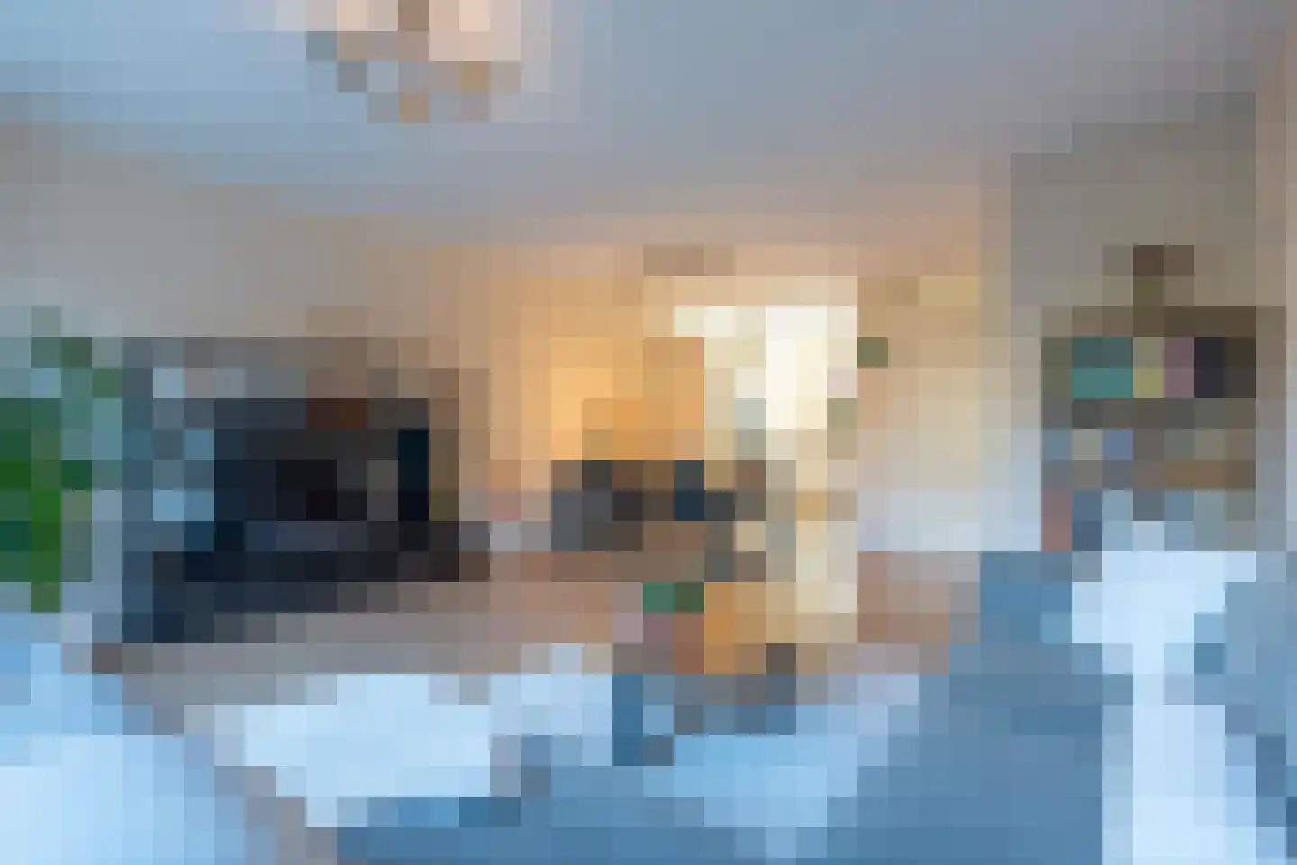 Diabellistraat 24 Eindhoven thumbnail 16