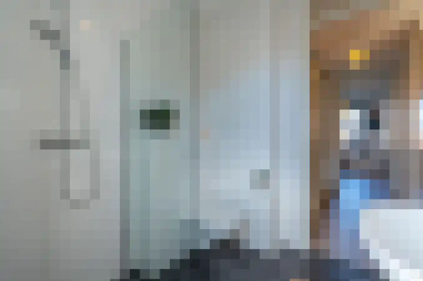 Diabellistraat 24 Eindhoven thumbnail 34