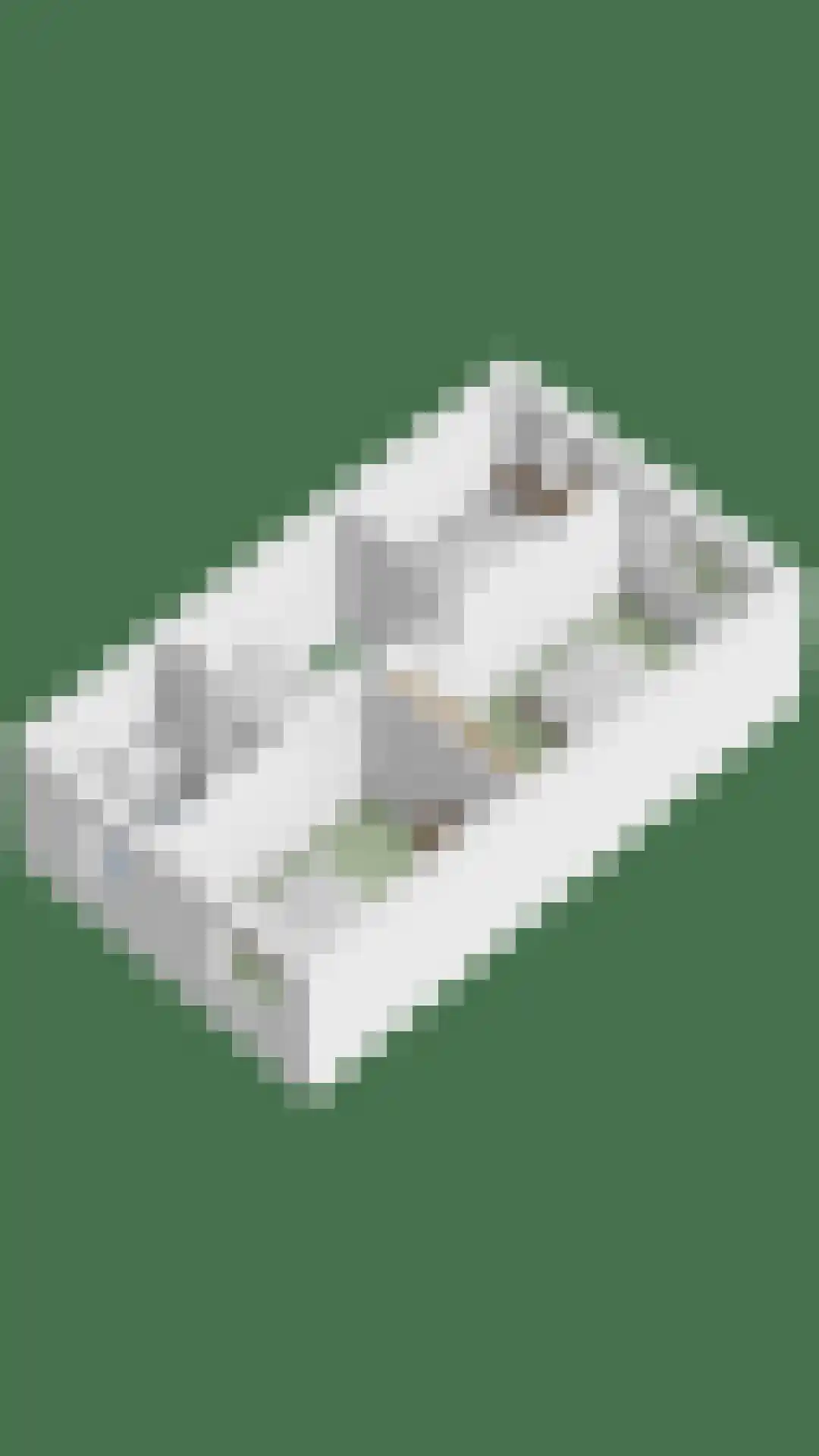 Diabellistraat 24 Eindhoven thumbnail 53