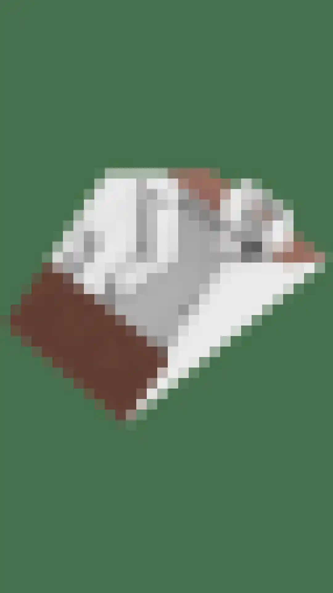 Diabellistraat 24 Eindhoven thumbnail 55