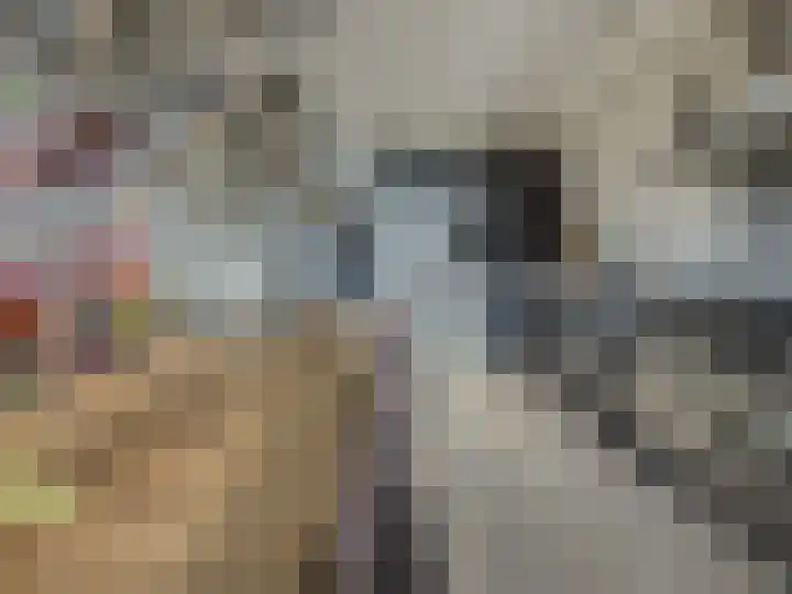 Diabellistraat 25 Capelle aan den IJssel thumbnail 11