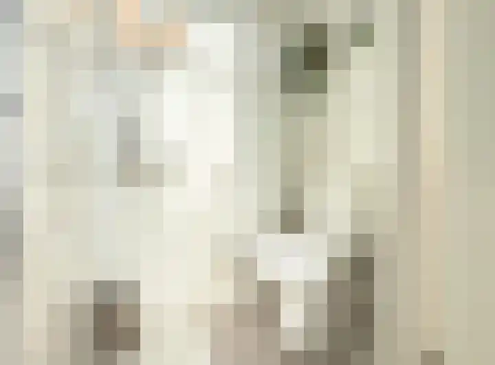 Diabellistraat 25 Capelle aan den IJssel thumbnail 17