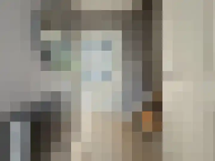 Diabellistraat 25 Capelle aan den IJssel thumbnail 18