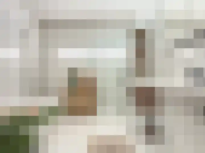 Diabellistraat 25 Capelle aan den IJssel thumbnail 21