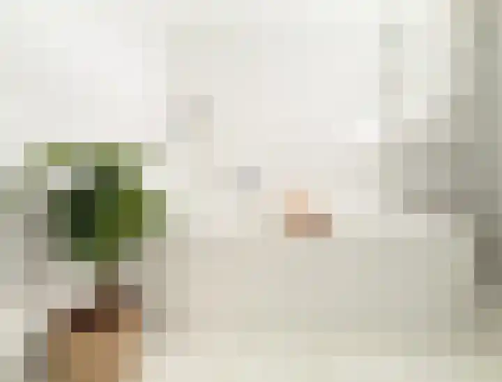 Diabellistraat 25 Capelle aan den IJssel thumbnail 22