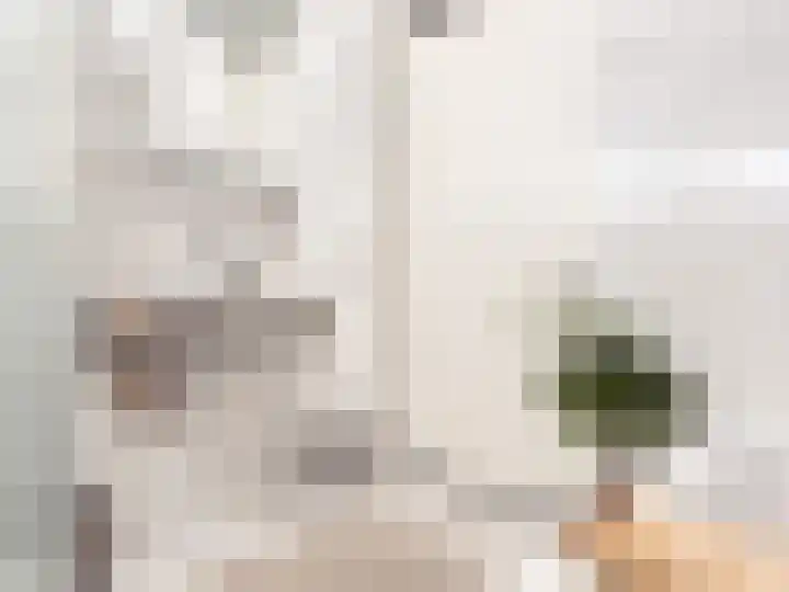 Diabellistraat 25 Capelle aan den IJssel thumbnail 23