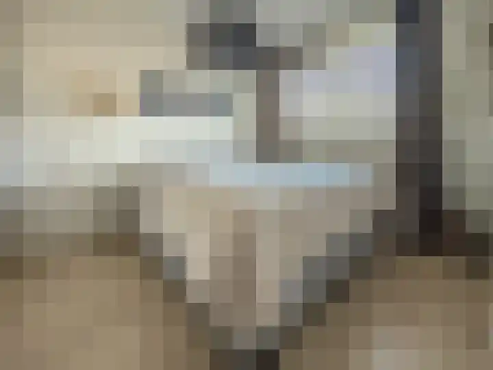 Diabellistraat 25 Capelle aan den IJssel thumbnail 24