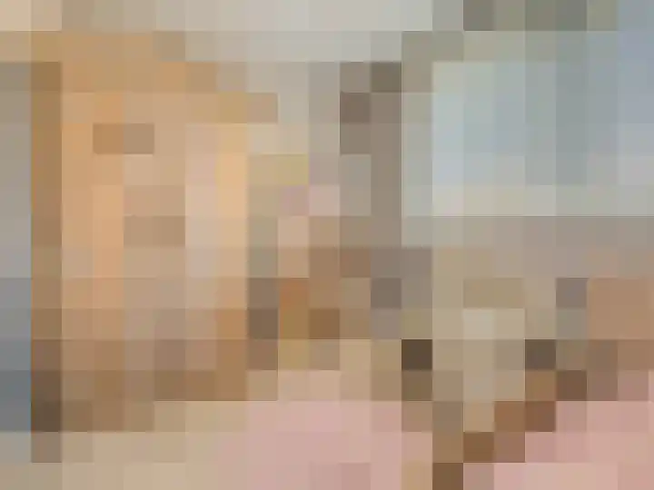 Diabellistraat 25 Capelle aan den IJssel thumbnail 30