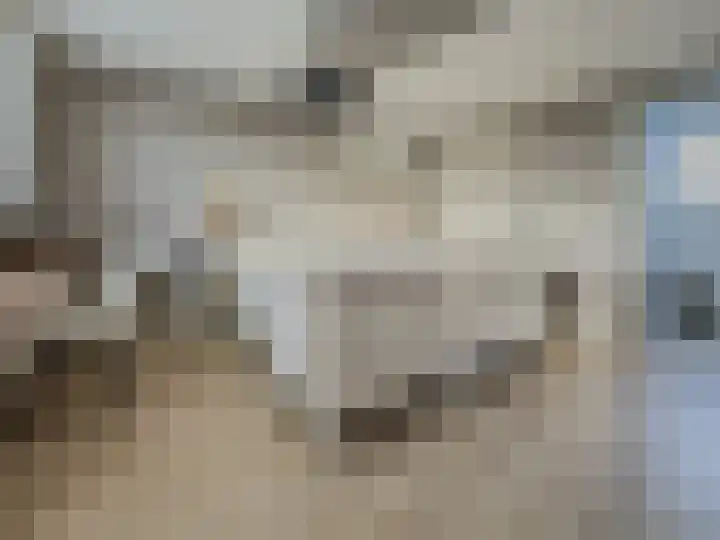 Diabellistraat 25 Capelle aan den IJssel thumbnail 33