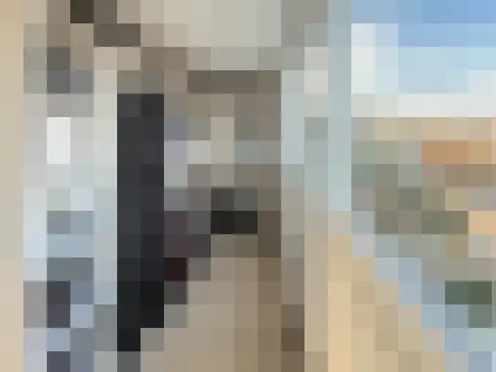 Diabellistraat 25 Capelle aan den IJssel thumbnail 34