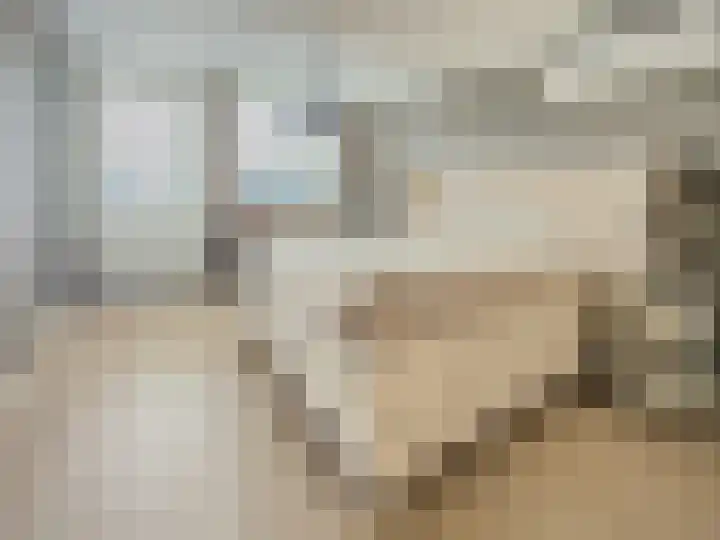 Diabellistraat 25 Capelle aan den IJssel thumbnail 38