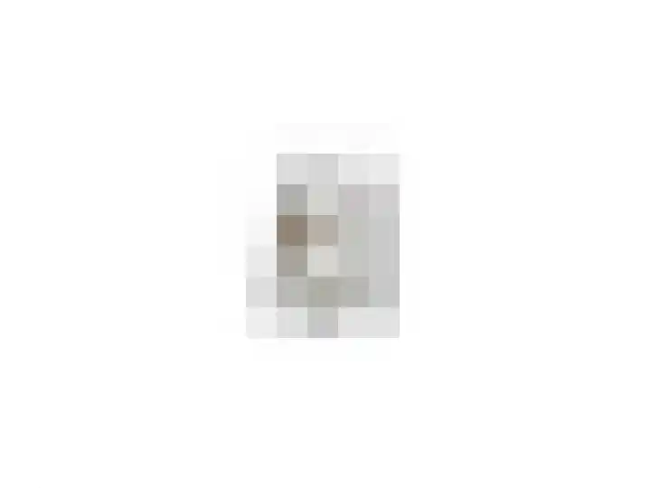 Diabellistraat 25 Capelle aan den IJssel thumbnail 44