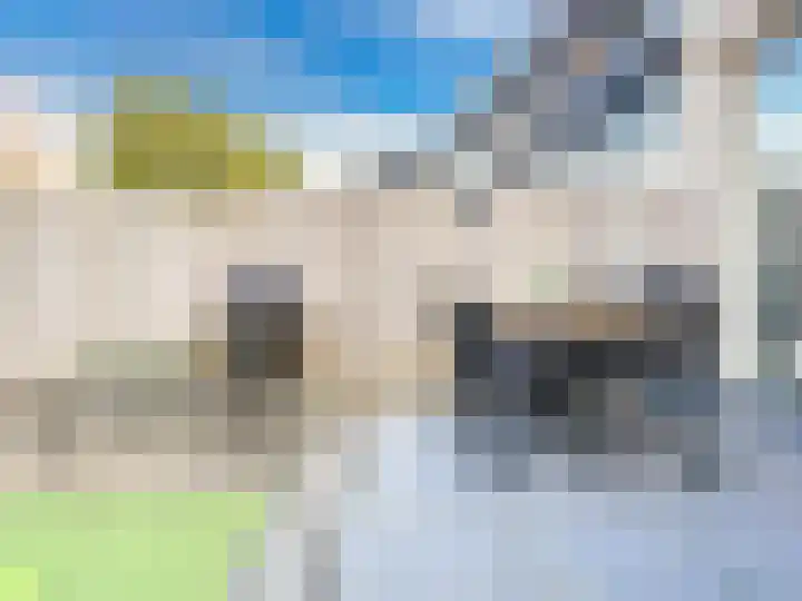 Diabellistraat 25 Capelle aan den IJssel thumbnail 6