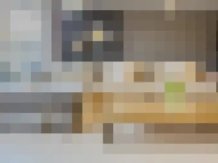 Diabellistraat 25 Capelle aan den IJssel thumbnail 9