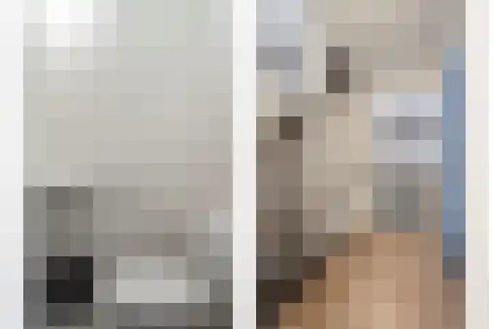 Diabellistraat 45 Capelle aan den IJssel thumbnail 16