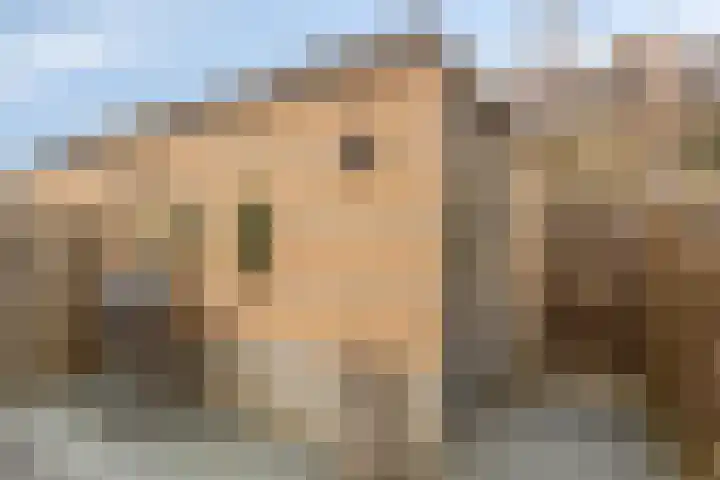 Diabellistraat 45 Capelle aan den IJssel thumbnail 24