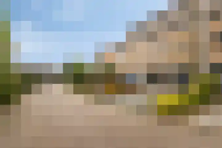 Diabellistraat 45 Capelle aan den IJssel thumbnail 27