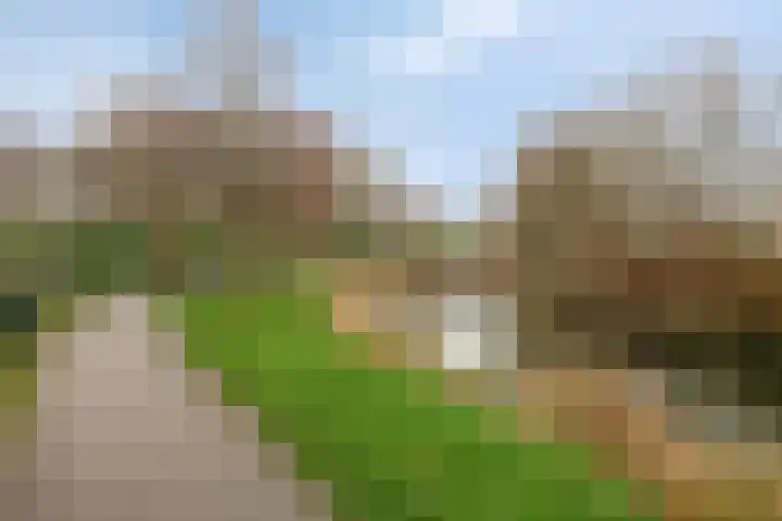 Diabellistraat 45 Capelle aan den IJssel thumbnail 28