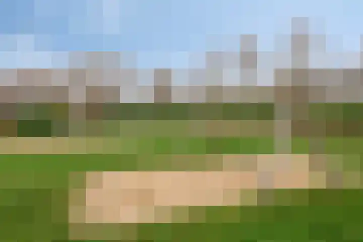 Diabellistraat 45 Capelle aan den IJssel thumbnail 30