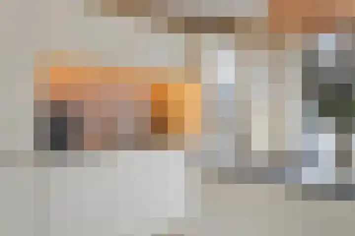 Diabellistraat 45 Capelle aan den IJssel thumbnail 4