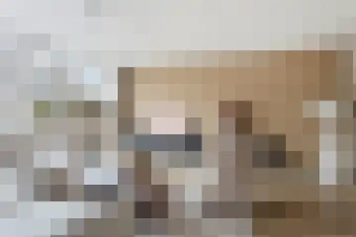 Diabellistraat 45 Capelle aan den IJssel thumbnail 6