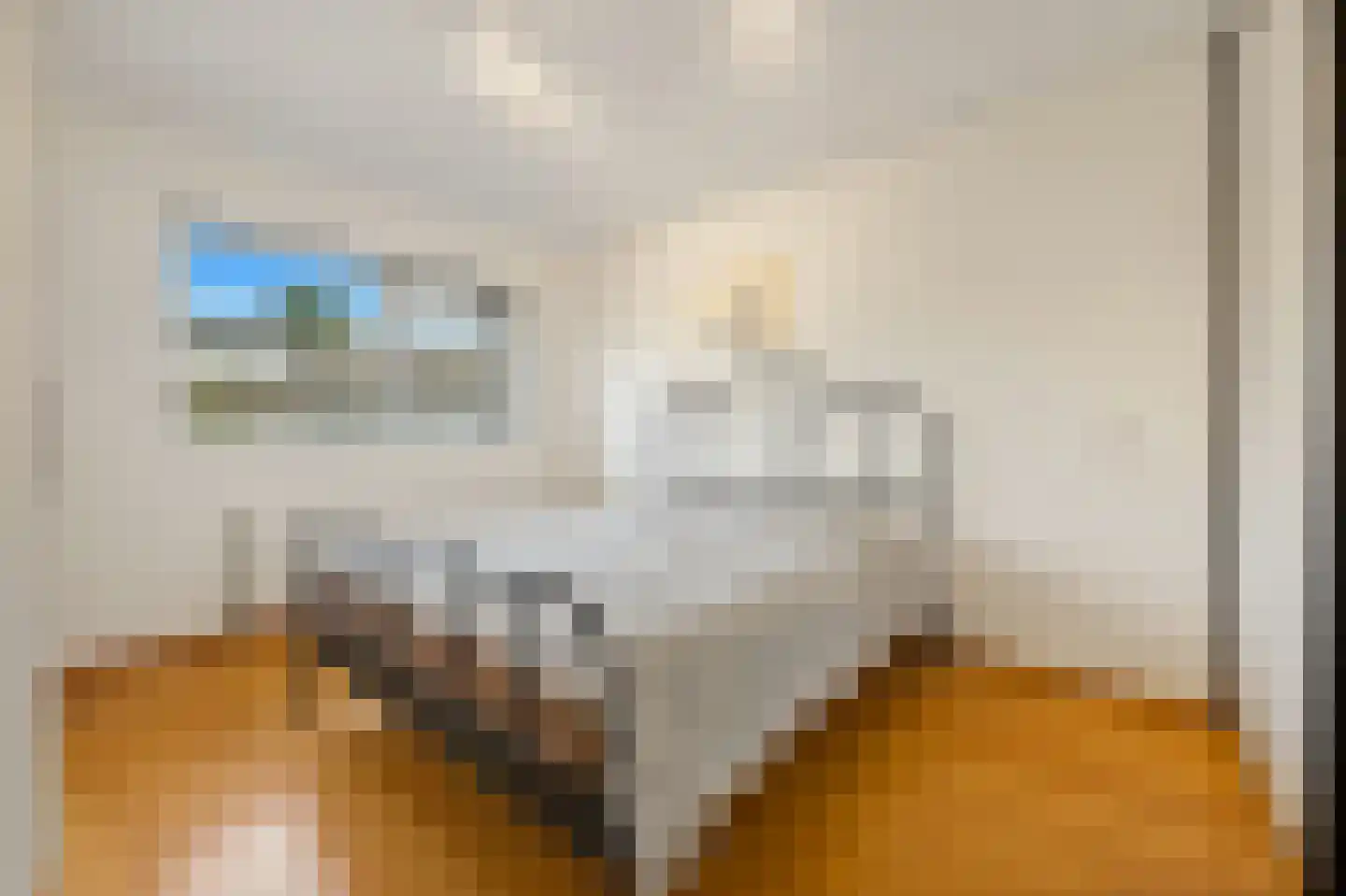 Diabellistraat 49 Capelle aan den IJssel thumbnail 25