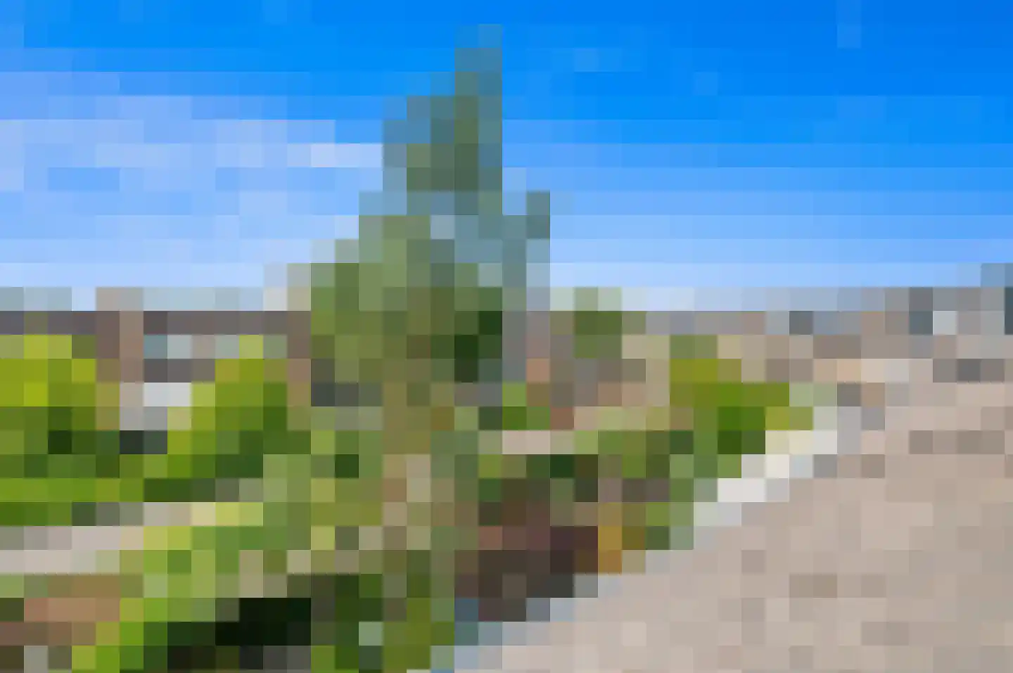 Diabellistraat 49 Capelle aan den IJssel thumbnail 43