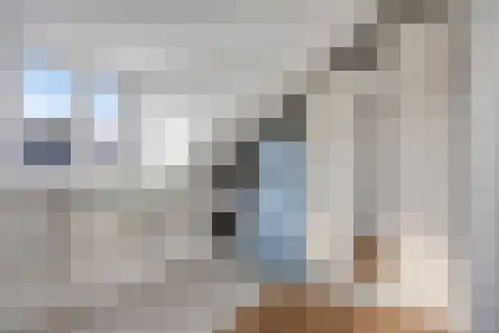 Diabellistraat 9 Eindhoven thumbnail 23