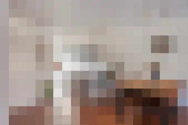 Diabellistraat 9 Eindhoven thumbnail 9
