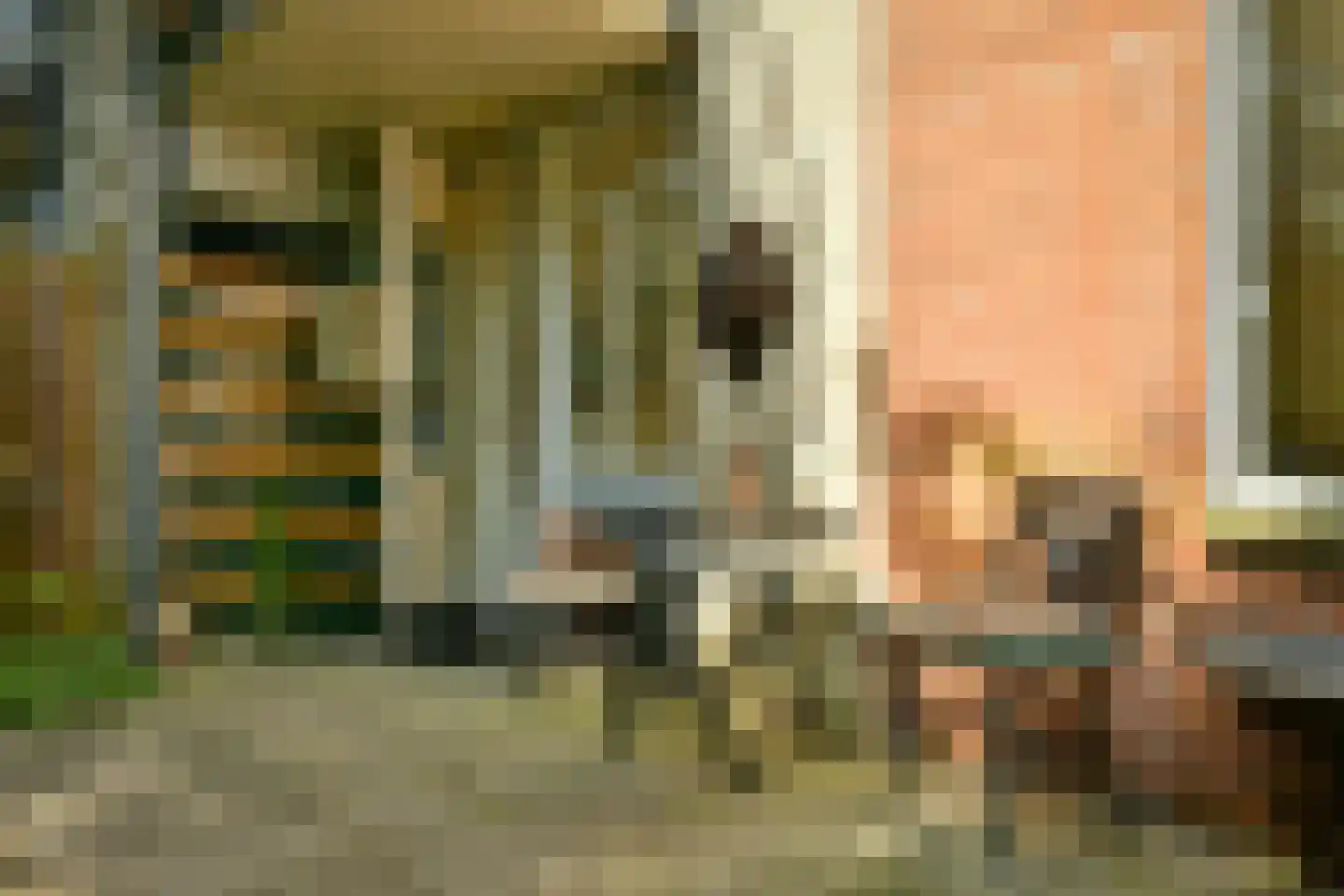 Diaconessenplein 57 Haarlem thumbnail 16