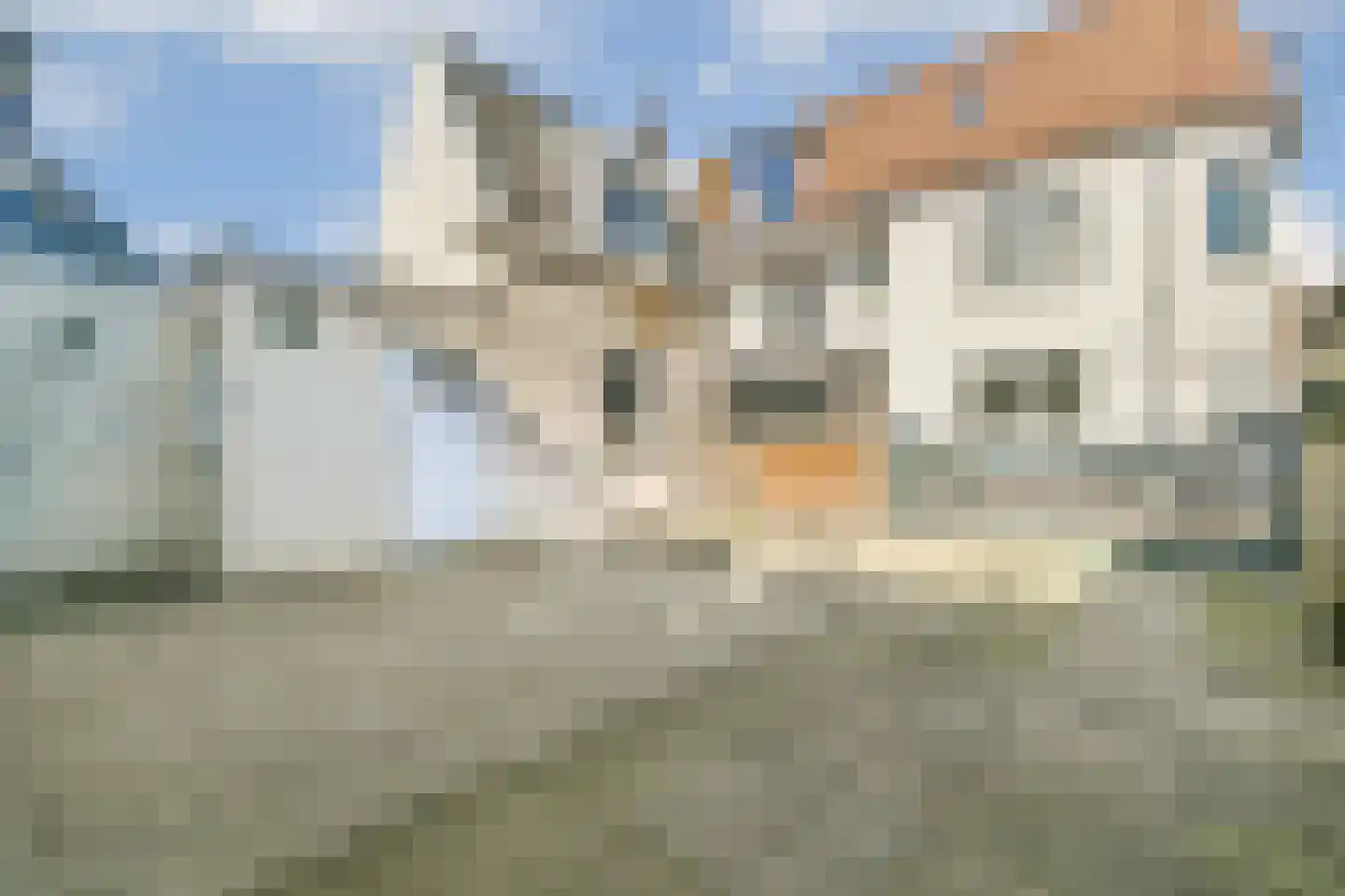 Diaconiehuisstraat 12 Zandvoort thumbnail 10