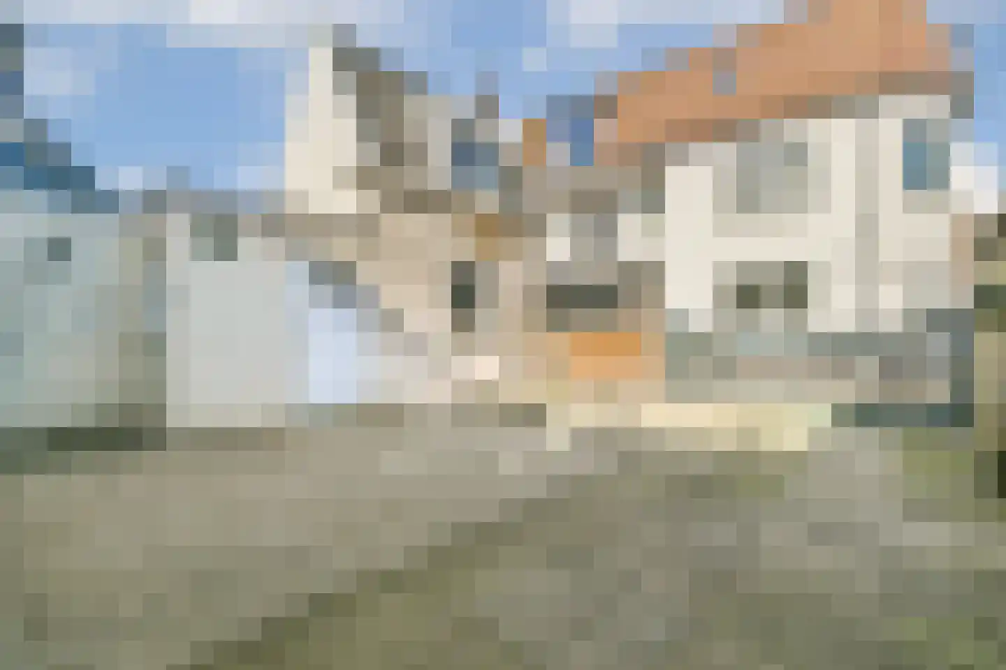 Diaconiehuisstraat 12 Zandvoort thumbnail 11