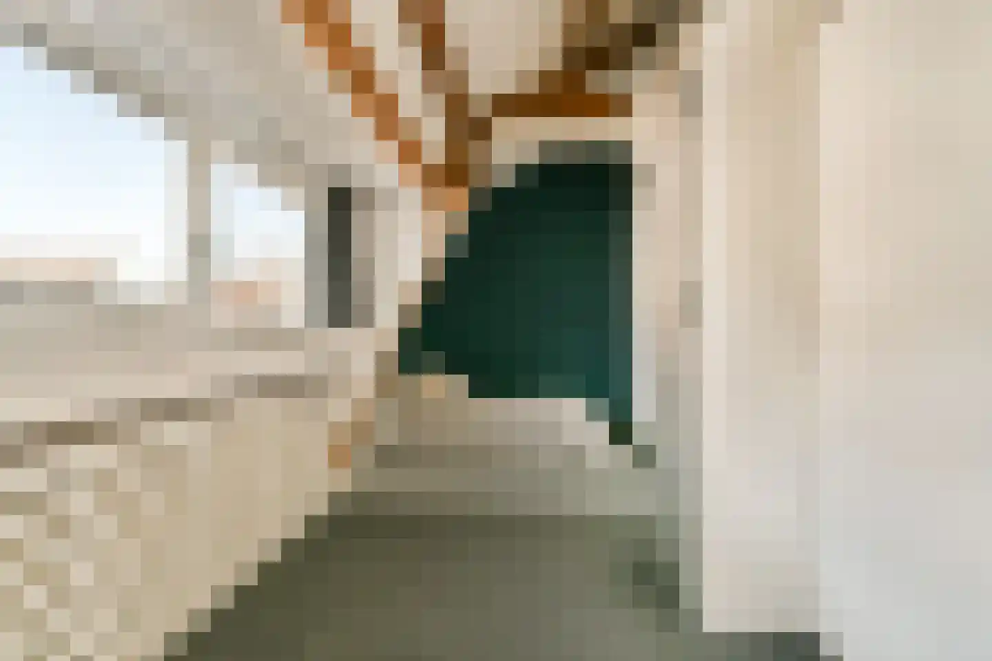 Diaconiehuisstraat 12 Zandvoort thumbnail 18