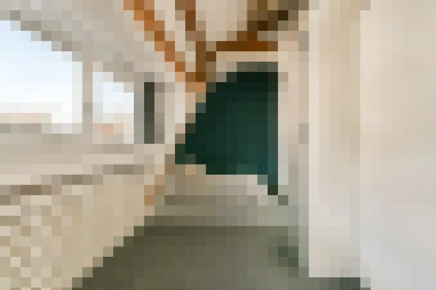 Diaconiehuisstraat 12 Zandvoort thumbnail 21
