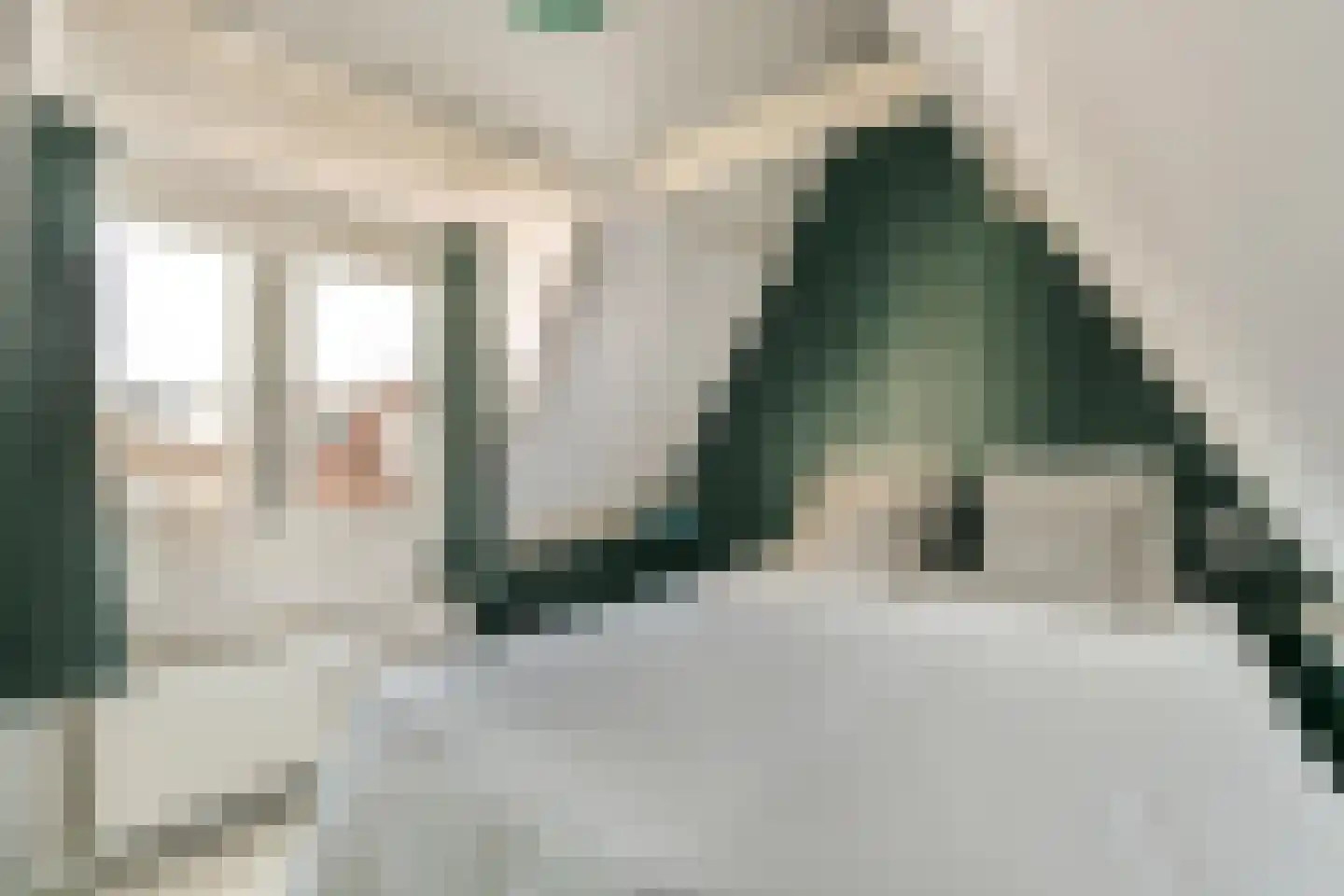 Diaconiehuisstraat 12 Zandvoort thumbnail 32