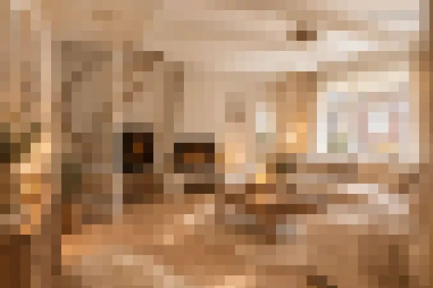 Diaconiehuisstraat 25 Zandvoort thumbnail 10