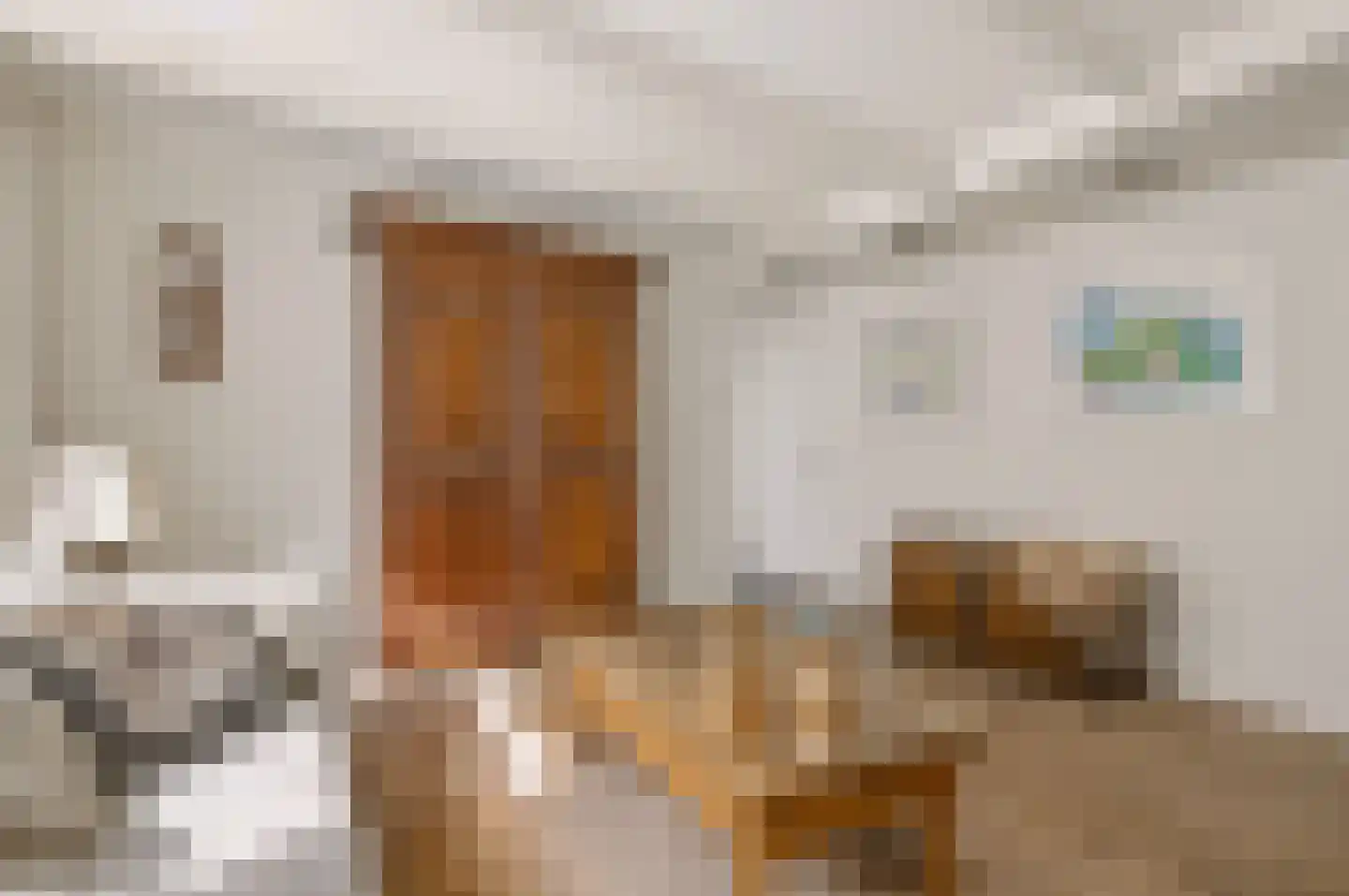 Diaconiehuisstraat 25 Zandvoort thumbnail 14