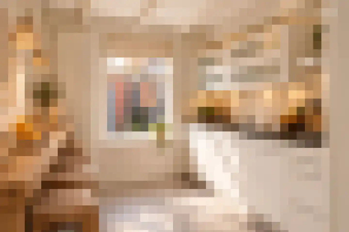 Diaconiehuisstraat 25 Zandvoort thumbnail 18