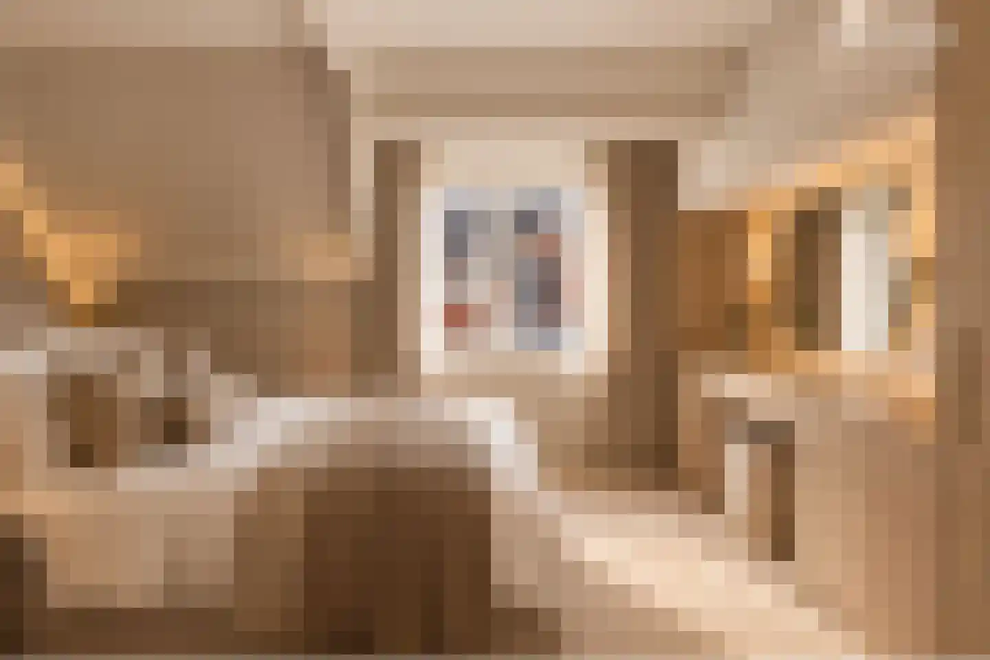 Diaconiehuisstraat 25 Zandvoort thumbnail 30