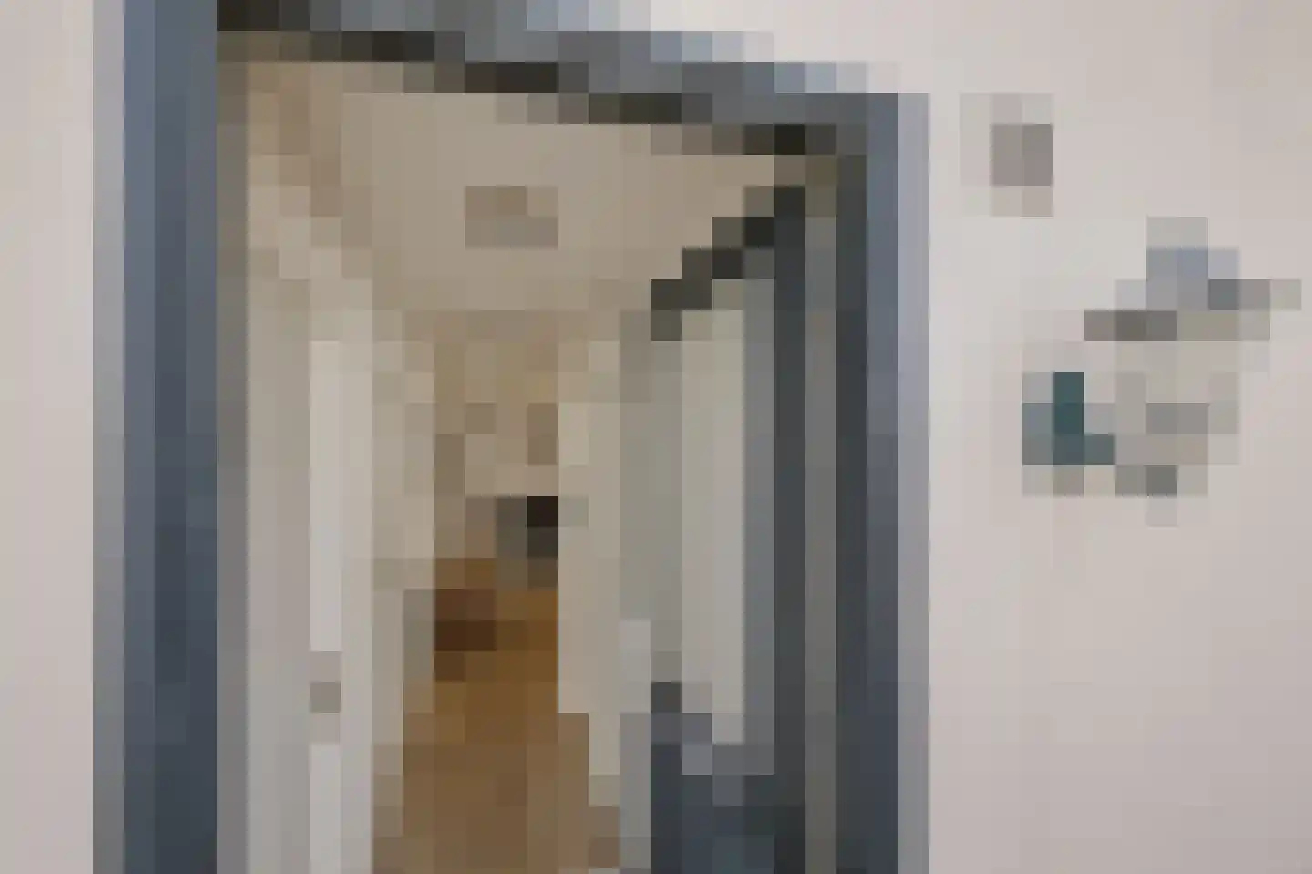Diaconiehuisstraat 25 Zandvoort thumbnail 6