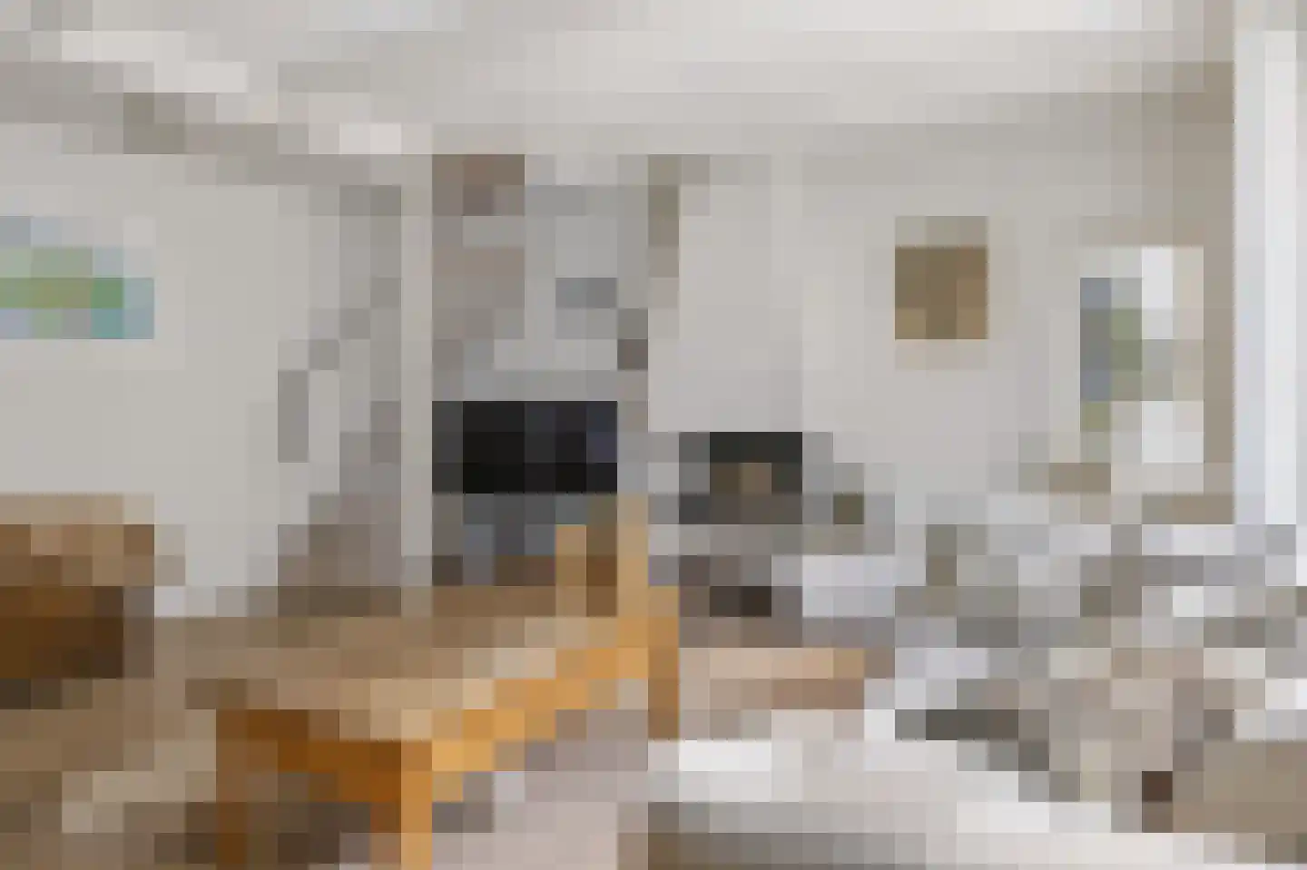 Diaconiehuisstraat 25 Zandvoort thumbnail 8