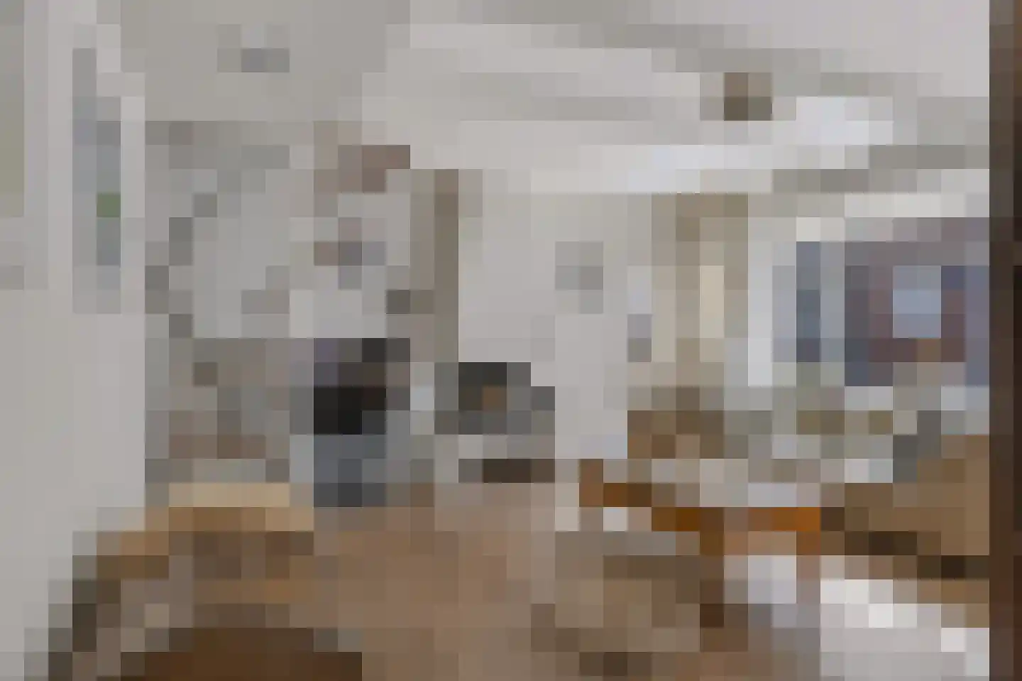 Diaconiehuisstraat 25 Zandvoort thumbnail 9