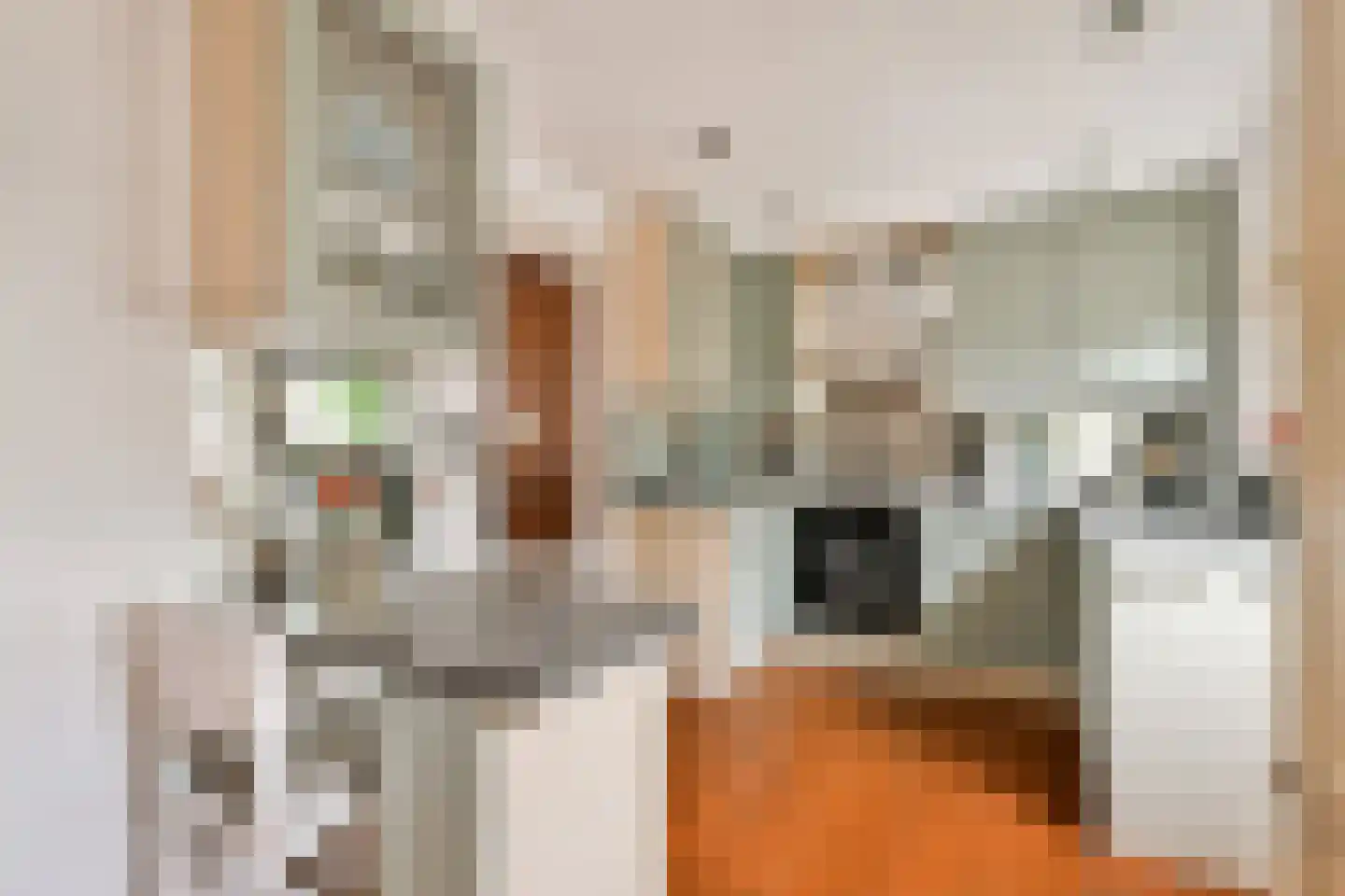 Diaconiehuisstraat 30 Zandvoort thumbnail 10