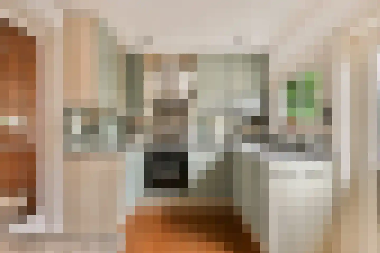 Diaconiehuisstraat 30 Zandvoort thumbnail 9