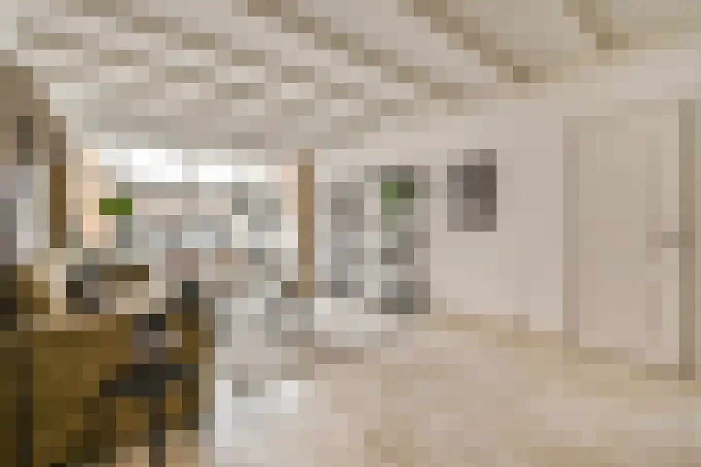 Diaconiehuisstraat 36 Zandvoort thumbnail 10