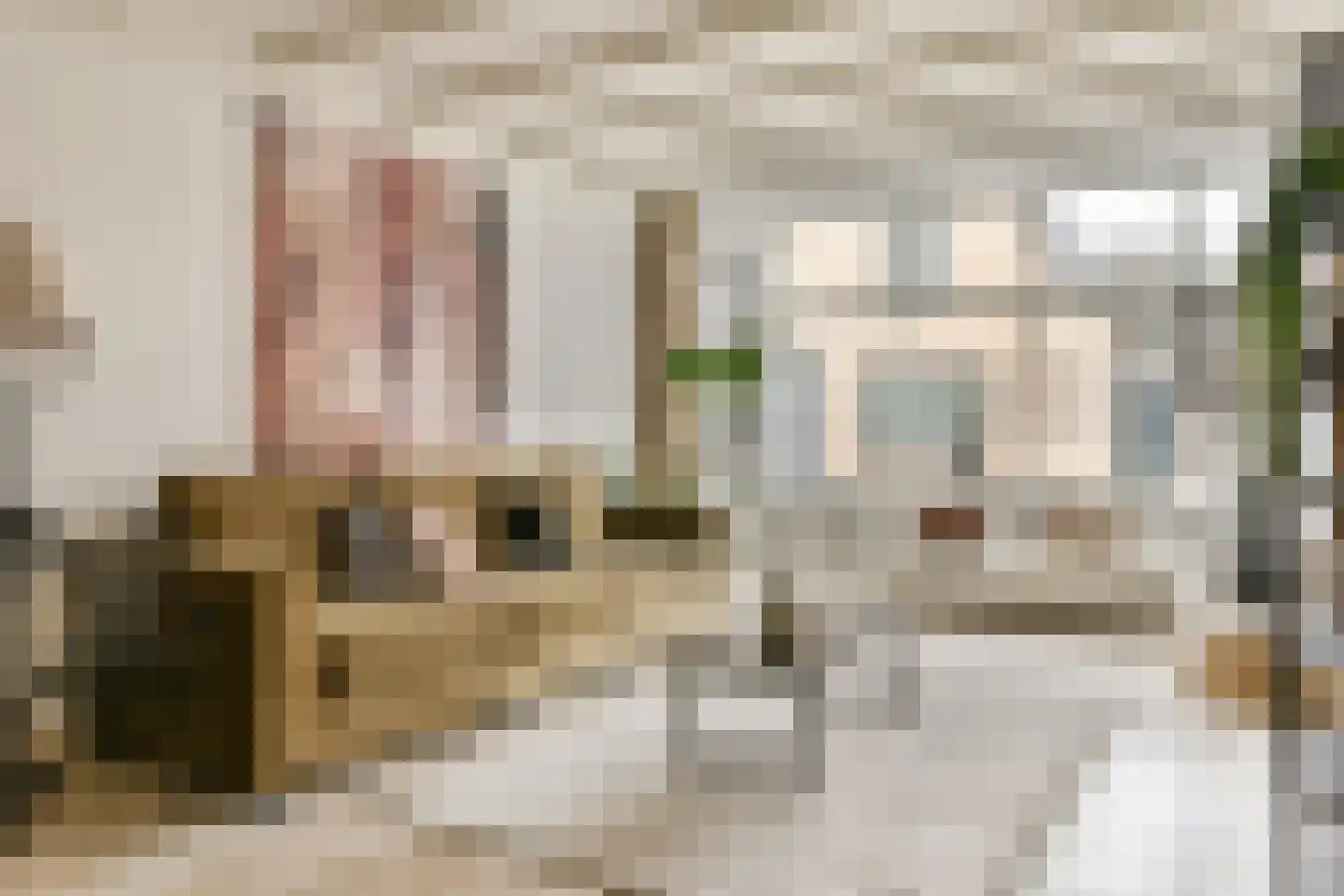 Diaconiehuisstraat 36 Zandvoort thumbnail 11