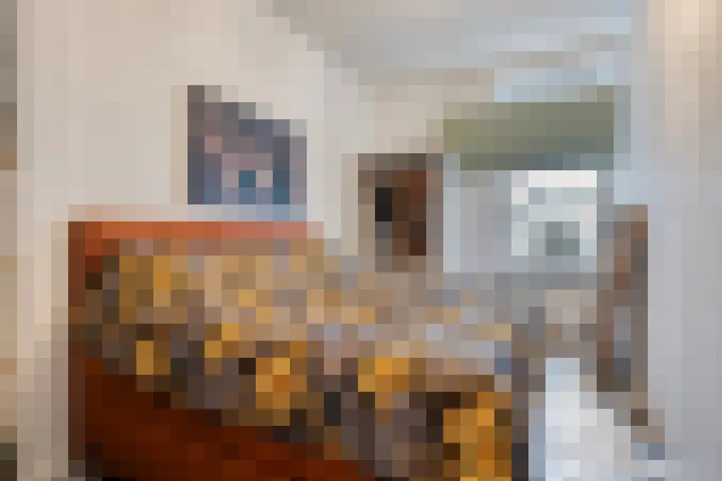 Diaconiehuisstraat 36 Zandvoort thumbnail 15